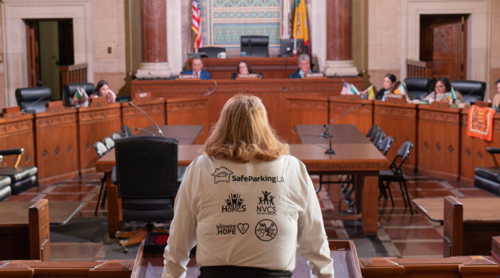 A person stands at a podium in a government chamber, facing officials seated at a long desk. The back of their shirt displays various organization logos.